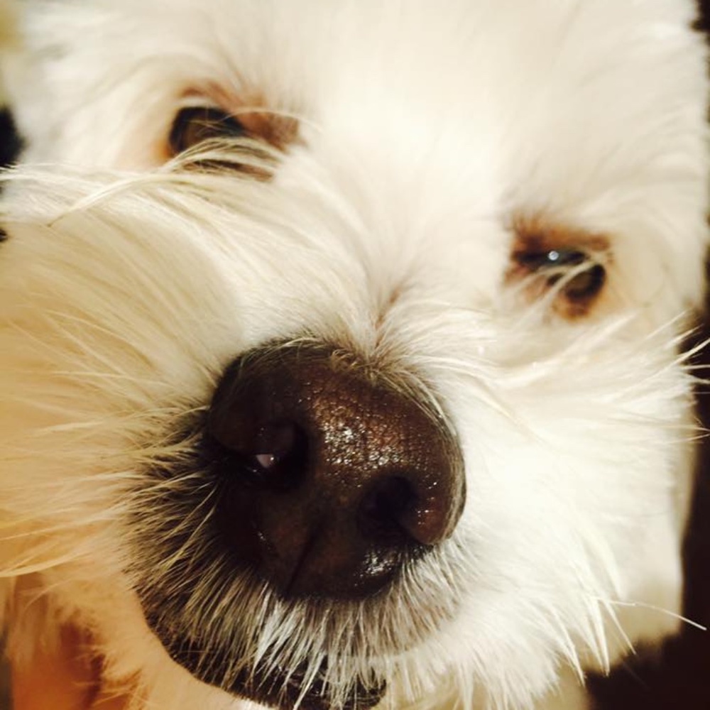 Meet your Posher, Christine